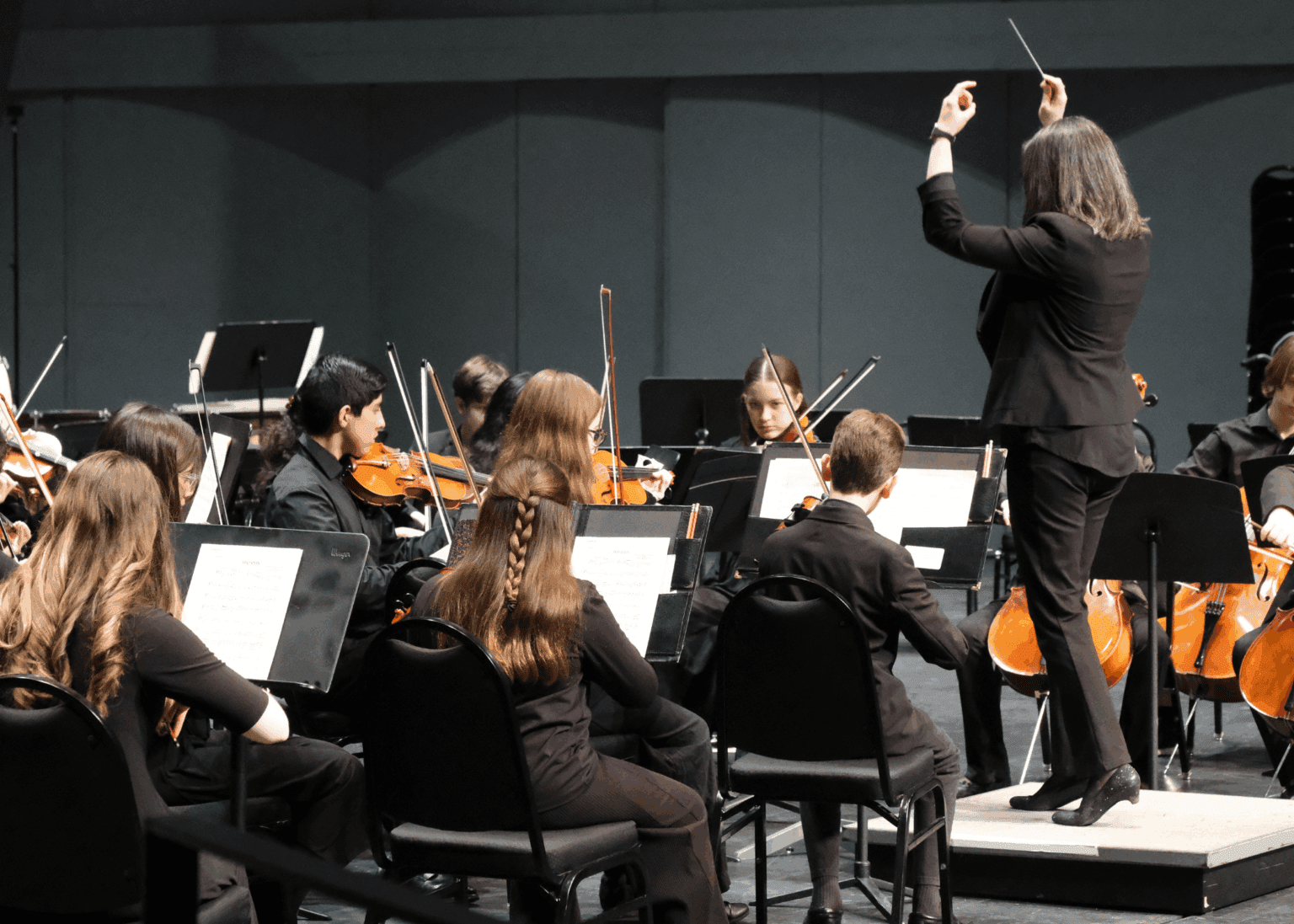 Elgin Youth Symphony Orchestras